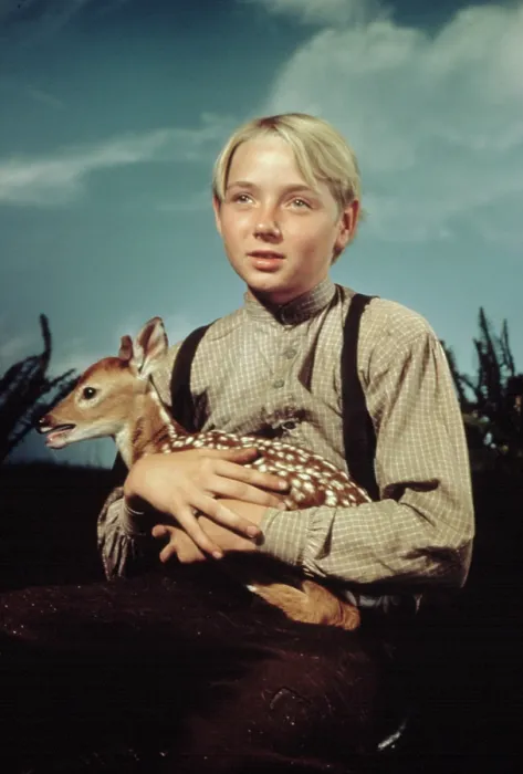 Framed Print : THE YEARLING, Claude Jarman, Jr. 1946 Framed Print : THE YEARLING, Claude Jarman, Jr. 1946
