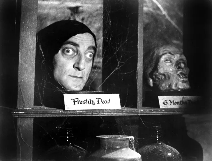Framed Print : YOUNG FRANKENSTEIN, Marty Feldman, 1974. TM and Copyright 20th Century Fox Film Corp. All rights reserved
