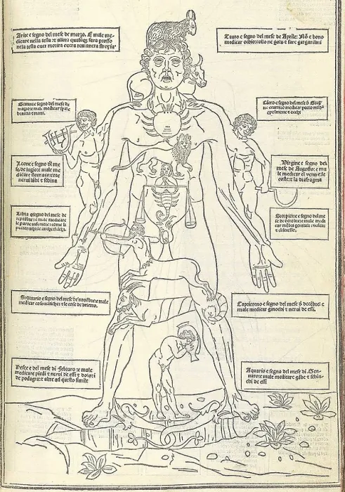 Framed Print : Zodiac Man from illustrating how the human body relates to the zodiac signs Framed Print : Zodiac Man from illustrating how the human body relates to the zodiac signs