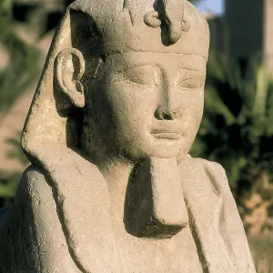 Temple of Amon - Ra. EGYPT. QUENA. Luksor. Thebes. Temple of Amon - Ra. Avenue of ram's-head sphinxes. Detail of a sphinx. Egyptian art. New Kingdom. Architecture