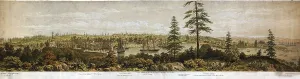 Victoria Prints: 1860 panoramic view of Victoria