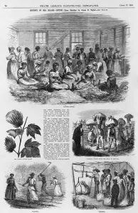 Farming Prints: Five 1869 illustrations of Sea Island cotton production: sorting cotton