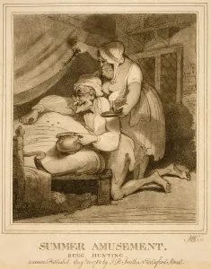 Insects Prints: 18th century English cartoon, SUMMER AMUSEMENT-BUGG HUNTING