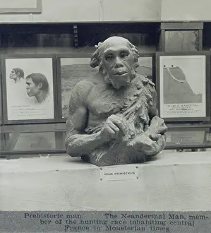 Prehistoric Prints: 1920s conjectural creation of a Neanderthal man