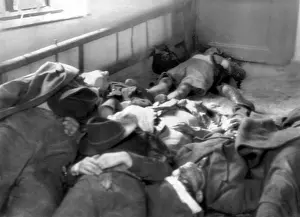 Revolts Prints: The 1956 Hungarian Uprising. Bodies of some of the fifty rebels in Magyaovar, Hungary