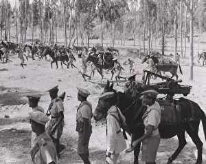 Rs4wn Prints: 65 mm guns captured from the Italians are transported to forward positions by Ethiopian solders