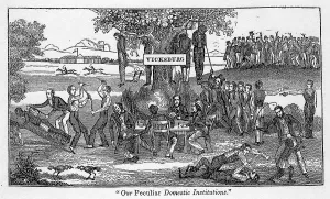 Morality Prints: Abolitionist cartoon entitled, Our Peculiar Institutions