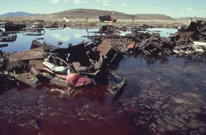 Environment Prints: A five acre pond so polluted with junked autos acid and oil it threatened to contaminate the nearby Great Salt Lake