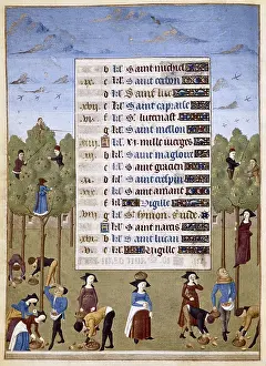 ADELAIDA DE SABOYA, Maestro de(15th c.); JEAN ROLIN, Maestro de(15th c.). The Hours of Adelaide of Savoy, Duchess of Burgundy. 1460-1465. October. Fruit harvest. Gothic art