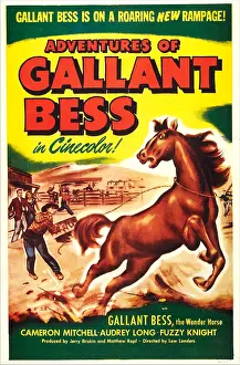 Stable Prints: ADVENTURES OF GALLANT BESS, US poster, 1952