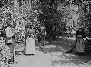 Sidewalk Prints: African American caretakers at the Magnolia Plantation and Gardens in Charleston