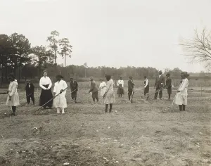 Teacher Prints: African American children working with rakes and hoes in a garden with teachers