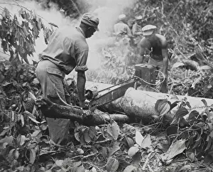 Tropics Prints: African American combat engineers use a motor-driven saw to remove trees on a trail on Bougainville
