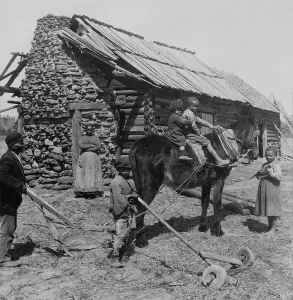 Mule Prints: African American farm family outside their log cabin home in North Carolina
