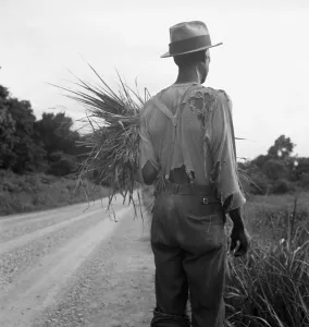 Fibers Prints: African American man in living in rural Mississippi near Vicksburg on a road where he has gathered some grass