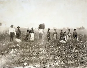 Images Dated 9th May 2008: African American men, women, and children