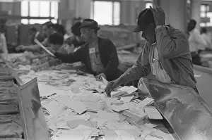 Integration Prints: African American postal employees sorting mail beside white workers