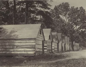 Negro Prints: African American shacks, original caption: The negro berry pickers shacks on the farm of Col