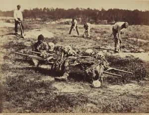 Skulls Prints: An African American soldier of a burial party on the battle-field of Cold Harbor seated next to a stretcher containing