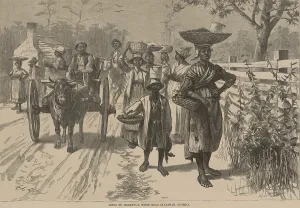 Food Prints: African Americans carrying food to market in baskets balanced on their heads and by ox-drawn cart near Savannah