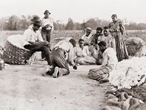 Amusements Prints: African Americans enjoying some rest and recreation after a day of work picking cotton