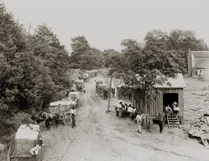 Farming Prints: African Americans and mule drawn wagons loaded with loose cotton at a processing station in the U