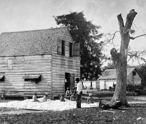 Slave Prints: African Americans preparing cotton for the gin on Smith's plantation