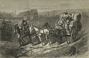 Workers Prints: African Americas in North Carolina take three market ready bales of cotton from a ginning and bailing barn