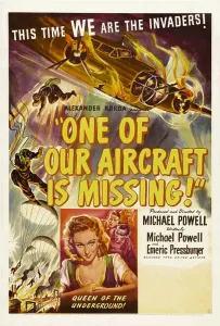 Miles Prints: ONE OF OUR AIRCRAFT IS MISSING