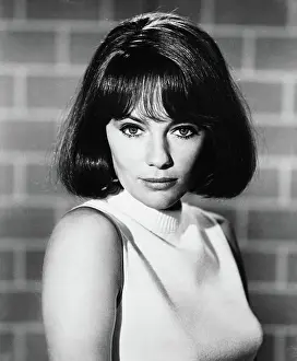 Images Dated 11th January 2019: AIRPORT, Jacqueline Bisset, 1970