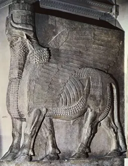 Iraqis Prints: AISA/Everett Collection Winged Assyrian Bull
