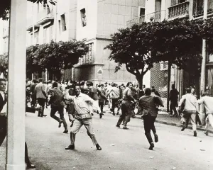 Algeria Prints: Algeria (November 12, 1960). Alger