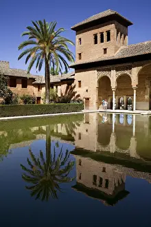 Pond Prints: Alhambra. SPAIN. Granada. Alhambra