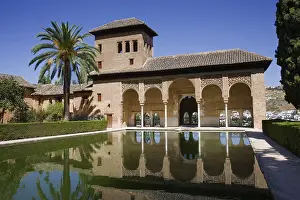 Pond Prints: Alhambra. SPAIN. Granada. Alhambra