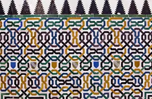 Vega De Granada Prints: Alhambra. SPAIN. Granada. Alhambra