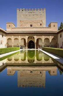 Pond Prints: Alhambra. SPAIN. Granada. Alhambra