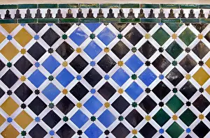 Vega De Granada Prints: Alhambra. SPAIN. Granada. Alhambra