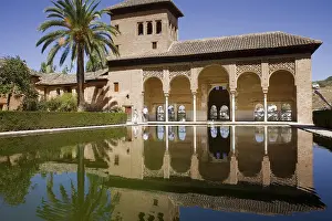 Pond Prints: Alhambra. SPAIN. Granada. Alhambra