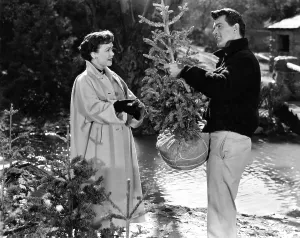 Films By Douglas Sirk Prints: ALL THAT HEAVEN ALLOWS, Jane Wyman, Rock Hudson, 1955