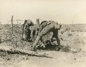 Barbed Wire Prints: Allied soldiers extricate a casualty entangled in barbed wire, during World War I, 1918