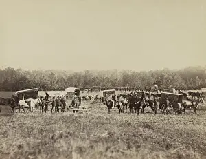 Horseback Prints: Ambulances of the 57th New York Volunteers near Fredericksburg, Virginia, 1864
