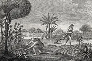 Indigenist Prints: America (18th c.). Growings of the Indians of the basins of Orinoco and Amazon rivers