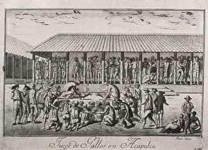 Malaspina Prints: America. Expedition of Malaspina (1789-1794)