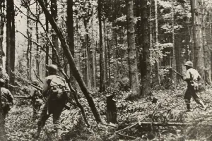 Lcgr1406 Prints: American infantrymen fighting in the German Hurtgen Forest near Vossenack