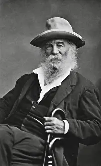 Open Collar Prints: American poet, Walt Whitman, seated with a cane, c. 1870s (BSLOC_2018_4_50)