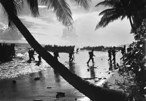 Palm Trees Prints: American troops of the 160th Infantry Regiment during amphibious landing training on Guadalcanal