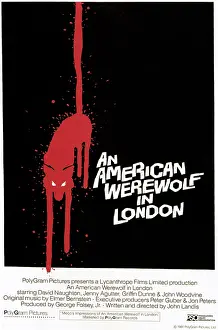 Horror Movies Prints: AN AMERICAN WEREWOLF IN LONDON