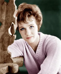 V Neck Sweater Prints: THE AMERICANIZATION OF EMILY, Julie Andrews, 1964