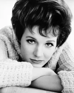 Images Dated 11th December 2013: THE AMERICANIZATION OF EMILY, Julie Andrews, 1964