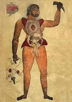 Medical Prints: Anatomical illustration of a male figure with his abdomen and chest opened to reveal the internal organs